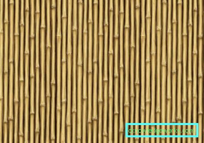238-Bamboo wallpaper - 100 amazing photos