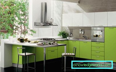 Green kitchen - 84 photos of the best design of modern design