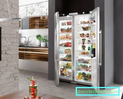 Bosch two-compartment refrigerator