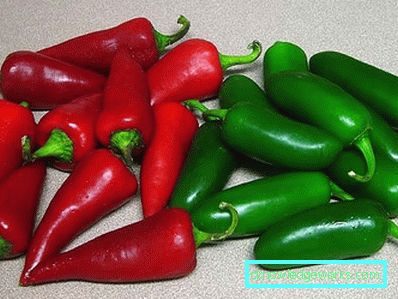 340-How to grow hot pepper