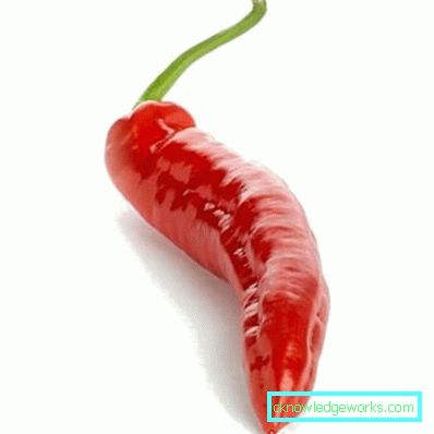 340-How to grow hot pepper