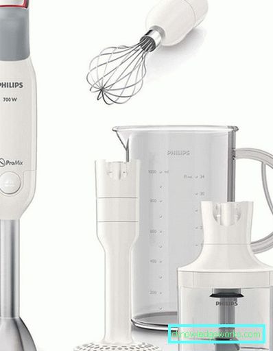 Which immersion blender is better to choose