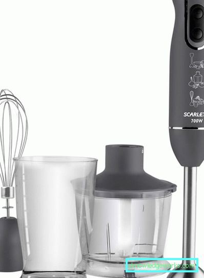 Which immersion blender is better to choose