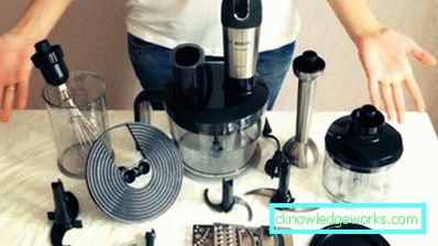 Which immersion blender is better to choose