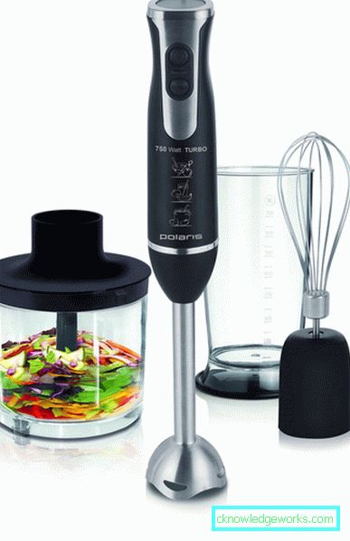 Which immersion blender is better to choose