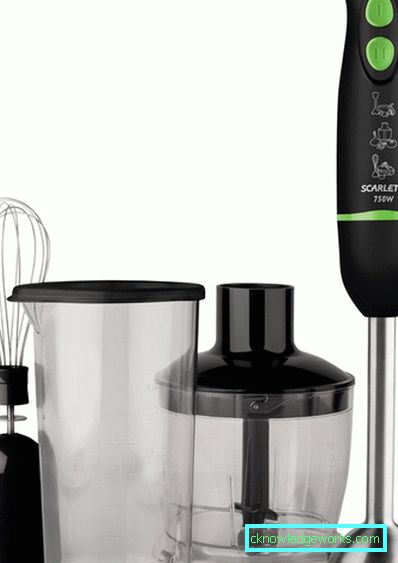 Which immersion blender is better to choose