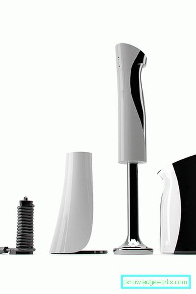 Which immersion blender is better to choose