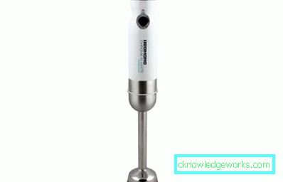 Which immersion blender is better to choose