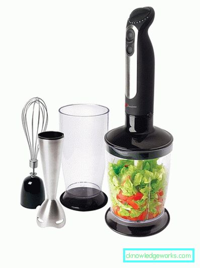 Which immersion blender is better to choose