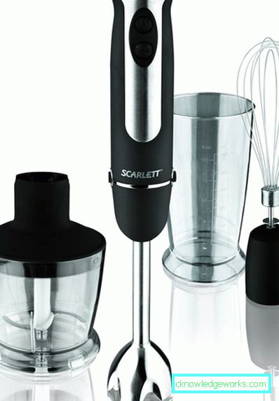 Which immersion blender is better to choose