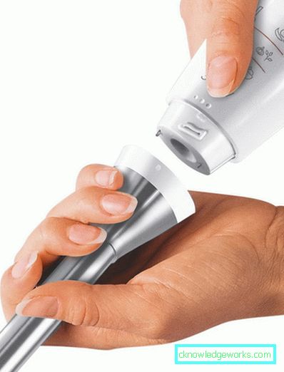 Which immersion blender is better to choose