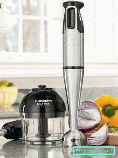 Which immersion blender is better to choose