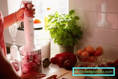 Which immersion blender is better to choose