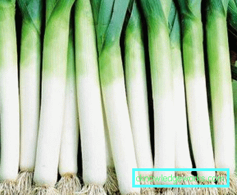 Leek