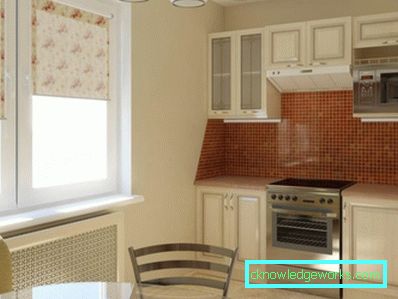 263-Small Kitchen - 115 photos of the best