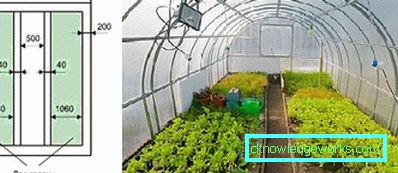 45-arrangement of the greenhouse inside
