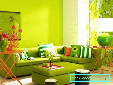 80-living room decoration - 100 photos