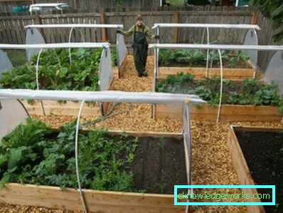 How to make a greenhouse for plants?