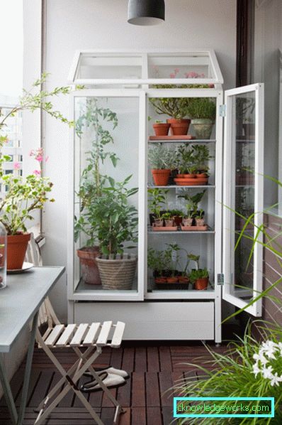 How to make a greenhouse for plants?