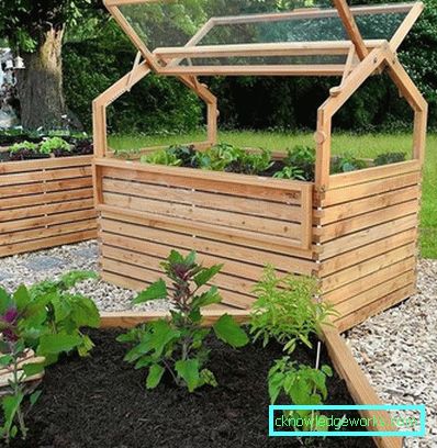 How to make a greenhouse for plants?