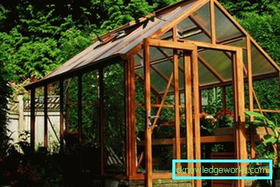 How to make a greenhouse for plants?