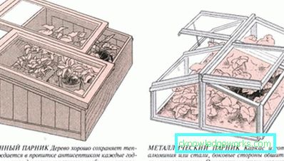 How to make a greenhouse for plants?