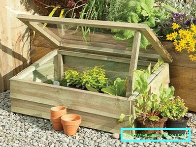 How to make a greenhouse for plants?