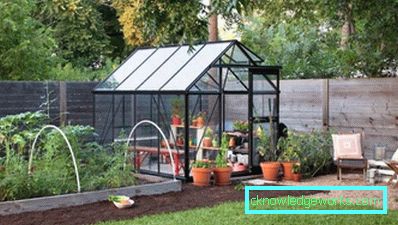 How to make a greenhouse for plants?