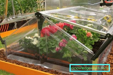 How to make a greenhouse for plants?