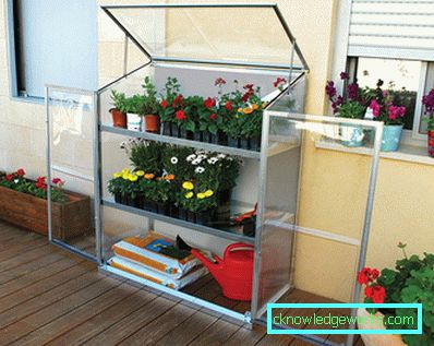 How to make a greenhouse for plants?