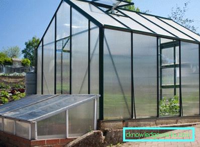 How to make a greenhouse for plants?