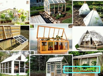 How to make a greenhouse for plants?