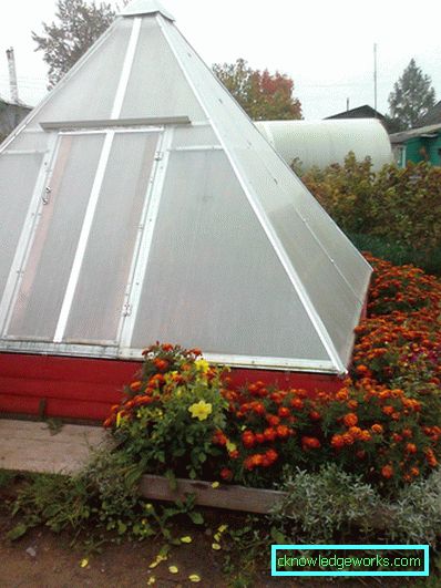 How to make a greenhouse for plants?