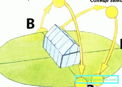 How to make a greenhouse for plants?