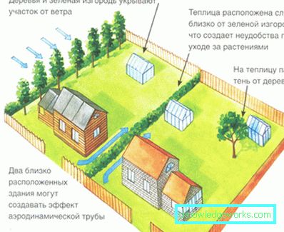 How to make a greenhouse for plants?