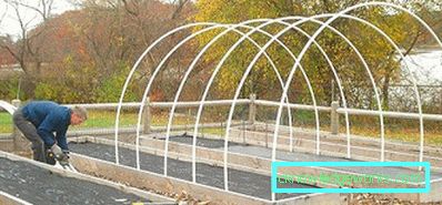 How to make a greenhouse for plants?