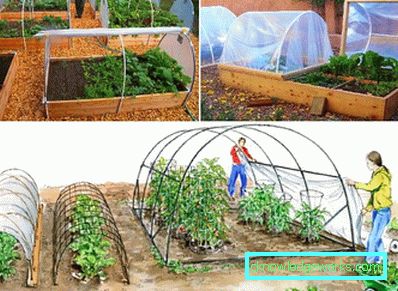 How to make a greenhouse for plants?