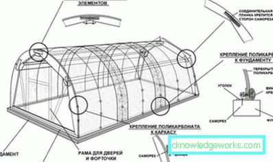 How to make a greenhouse for plants?