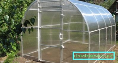 How to make a greenhouse for plants?