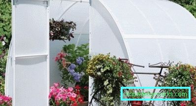 How to make a greenhouse for plants?