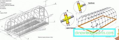 How to make a greenhouse for plants?