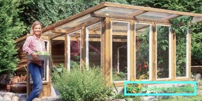 How to make a greenhouse for plants?