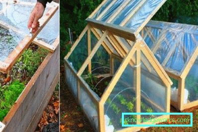 How to make a greenhouse for plants?