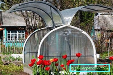 How to make a greenhouse for plants?