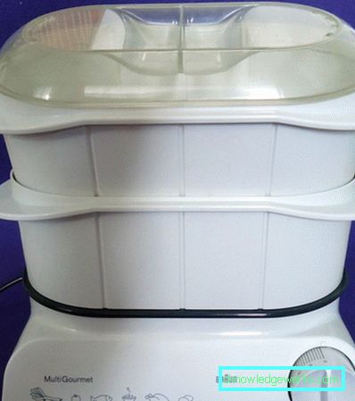 Braun steamer