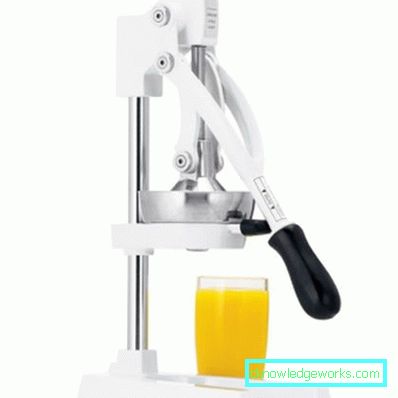 Manual Juicer Press Manual Juicer Press