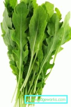 Arugula