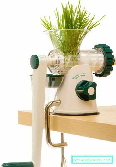 Garden Juicer