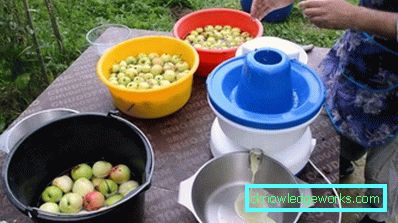 Garden Juicer