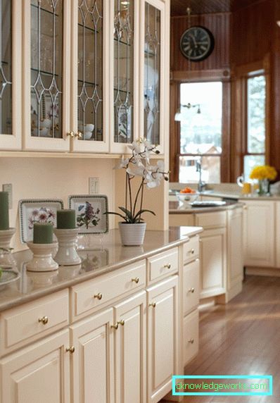 Cabinet for dishes in the kitchen